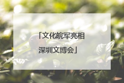 文化皖军亮相深圳文博会