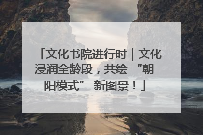 文化书院进行时｜文化浸润全龄段，共绘 “朝阳模式” 新图景！