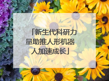 新生代科研力量助推人形机器人加速成长