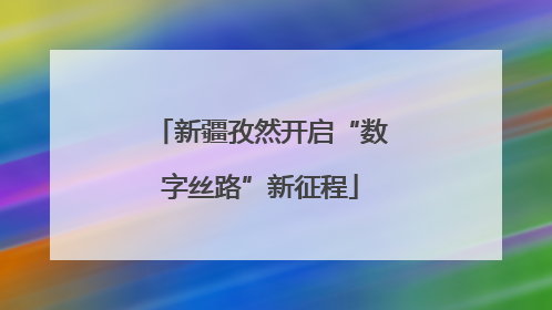 新疆孜然开启“数字丝路”新征程