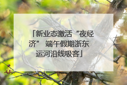 新业态激活“夜经济” 端午假期浙东运河沿线吸客