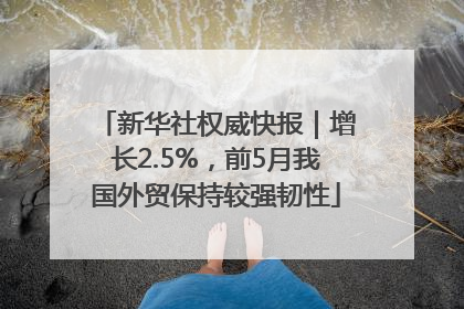 新华社权威快报｜增长2.5%，前5月我国外贸保持较强韧性