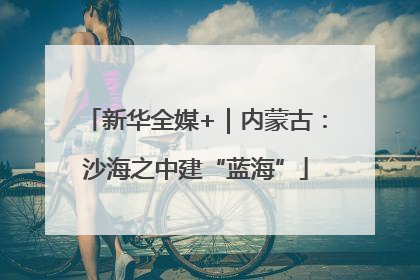 新华全媒+｜内蒙古：沙海之中建“蓝海”