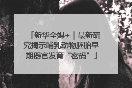 新华全媒+｜最新研究揭示哺乳动物胚胎早期器官发育“密码”