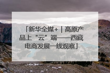 新华全媒+｜高原产品上“云”端——西藏电商发展一线观察