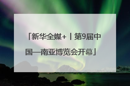 新华全媒+丨第9届中国—南亚博览会开幕