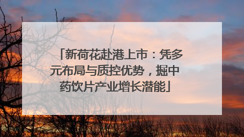 新荷花赴港上市：凭多元布局与质控优势，掘中药饮片产业增长潜能