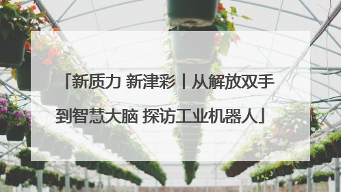新质力 新津彩丨从解放双手到智慧大脑 探访工业机器人