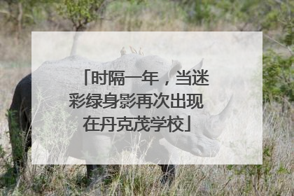 时隔一年，当迷彩绿身影再次出现在丹克茂学校