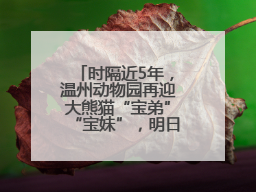 时隔近5年，温州动物园再迎大熊猫“宝弟”“宝妹”，明日正式开馆！