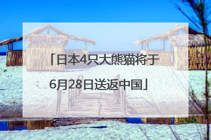 日本4只大熊猫将于6月28日送返中国