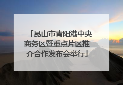 昆山市青阳港中央商务区暨重点片区推介合作发布会举行