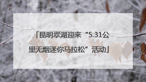 昆明翠湖迎来“5.31公里无烟迷你马拉松”活动