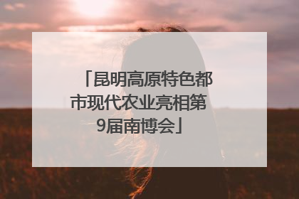 昆明高原特色都市现代农业亮相第9届南博会
