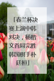 春兰杯决赛上演中韩对决，杨楷文首局完胜韩国棋手朴廷桓