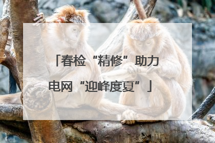 春检“精修”助力电网“迎峰度夏”