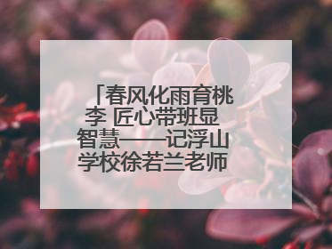 春风化雨育桃李 匠心带班显智慧——记浮山学校徐若兰老师的育人之路