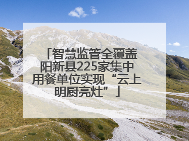 智慧监管全覆盖 阳新县225家集中用餐单位实现“云上明厨亮灶”
