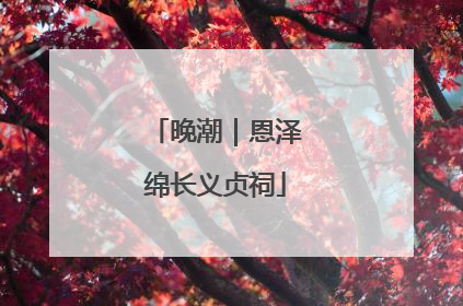 晚潮｜恩泽绵长义贞祠
