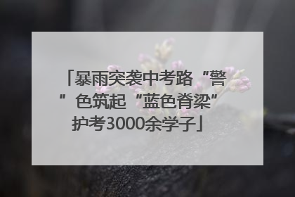 暴雨突袭中考路“警”色筑起“蓝色脊梁”护考3000余学子
