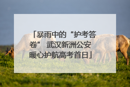 暴雨中的“护考答卷” 武汉新洲公安暖心护航高考首日
