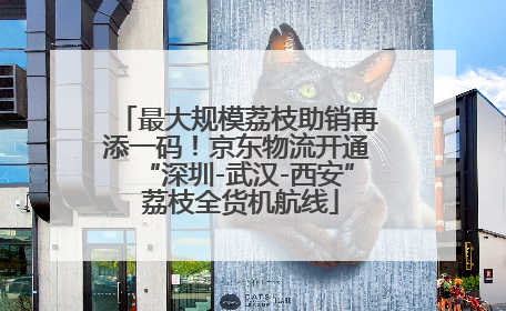 最大规模荔枝助销再添一码！京东物流开通“深圳-武汉-西安” 荔枝全货机航线