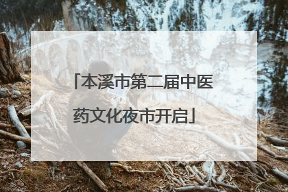 本溪市第二届中医药文化夜市开启