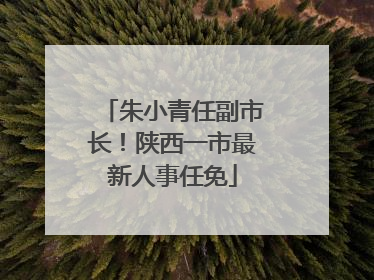 朱小青任副市长！陕西一市最新人事任免
