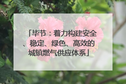毕节：着力构建安全、稳定、绿色、高效的城镇燃气供应体系