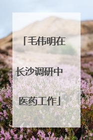 毛伟明在长沙调研中医药工作