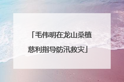 毛伟明在龙山桑植慈利指导防汛救灾