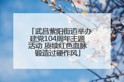武昌紫阳街道举办建党104周年主题活动 赓续红色血脉锻造过硬作风
