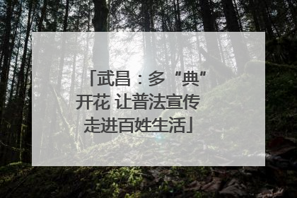 武昌：多“典”开花 让普法宣传走进百姓生活