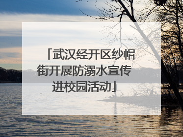 武汉经开区纱帽街开展防溺水宣传进校园活动