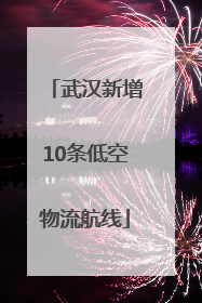 武汉新增10条低空物流航线