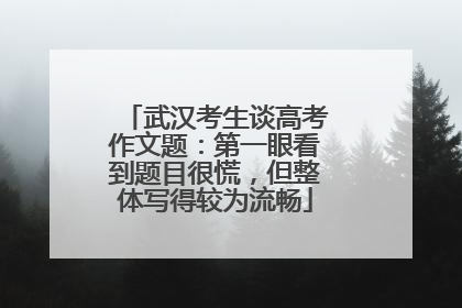 武汉考生谈高考作文题：第一眼看到题目很慌，但整体写得较为流畅