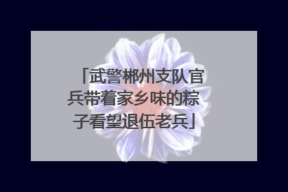 武警郴州支队官兵带着家乡味的粽子看望退伍老兵