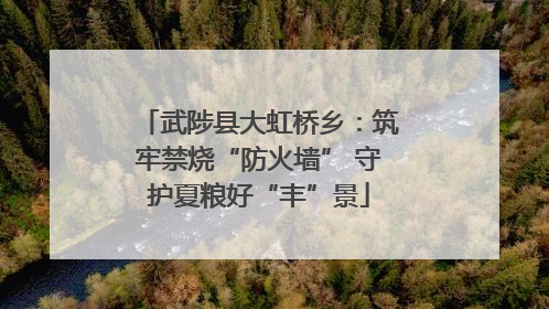 武陟县大虹桥乡：筑牢禁烧“防火墙” 守护夏粮好“丰”景