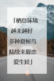 栖息环境越来越好 多种夏候鸟陆续来厦恋爱生娃