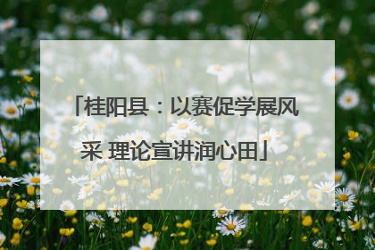 桂阳县：以赛促学展风采 理论宣讲润心田