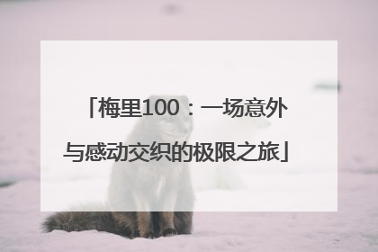 梅里100：一场意外与感动交织的极限之旅