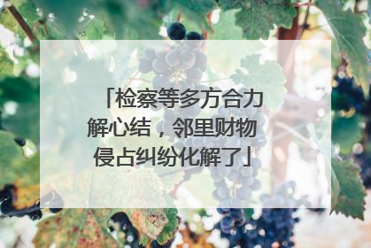 检察等多方合力解心结，邻里财物侵占纠纷化解了