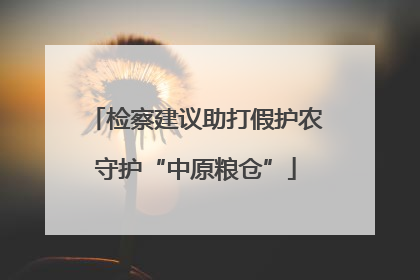 检察建议助打假护农守护“中原粮仓”