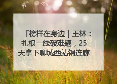 榜样在身边｜王林：扎根一线破难题，25天拿下聊城西站钢连廊“硬核”工程