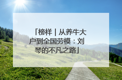 榜样｜从养牛大户到全国劳模：刘琴的不凡之路