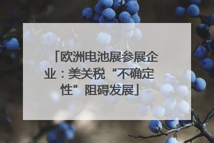 欧洲电池展参展企业：美关税“不确定性”阻碍发展