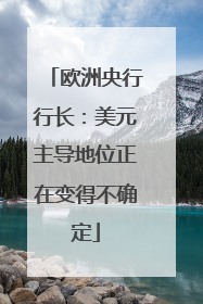 欧洲央行行长：美元主导地位正在变得不确定