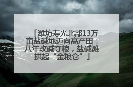 潍坊寿光北部13万亩盐碱地迈向高产田：八年改碱夺粮，盐碱滩拱起“金粮仓”