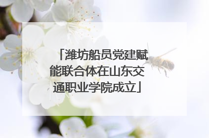 潍坊船员党建赋能联合体在山东交通职业学院成立