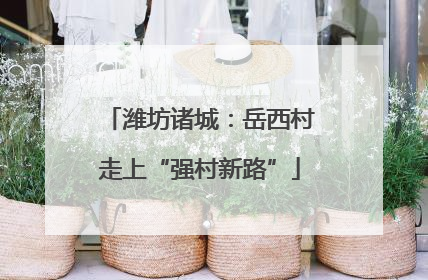 潍坊诸城：岳西村走上“强村新路”